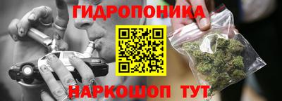 гидра Кандалакша