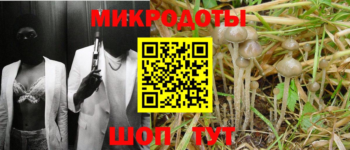Псилоцибиновые грибы Cubensis Краснодар